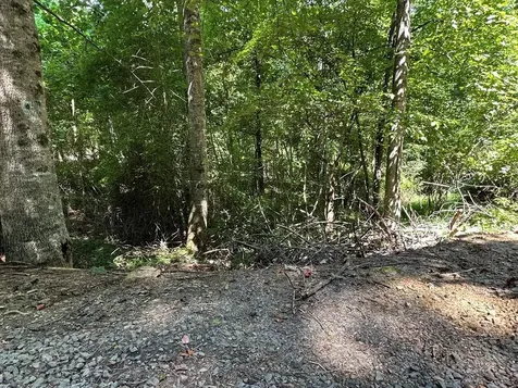 00 Choctaw Ridge Trail Murphy NC 28906