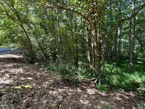 00 Choctaw Ridge Trail Murphy NC 28906