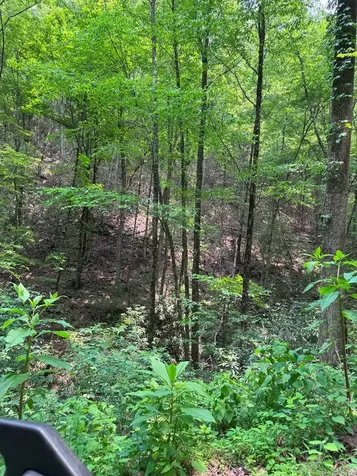 88 Acres Bolden Branch Andrews NC 28901