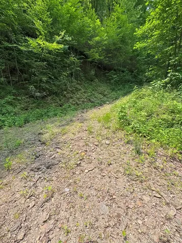 88 Acres Bolden Branch Andrews NC 28901