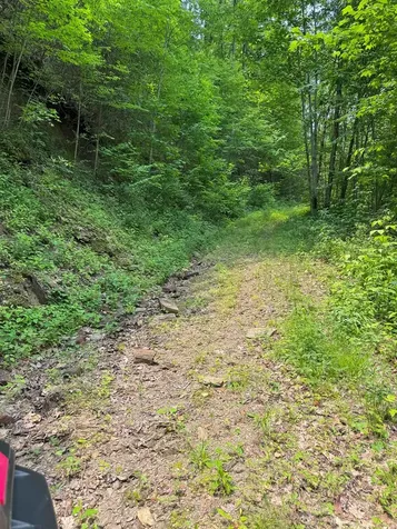 88 Acres Bolden Branch Andrews NC 28901