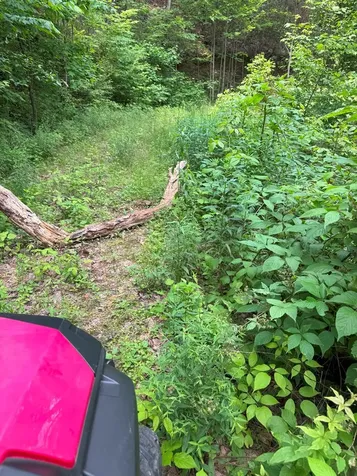 88 Acres Bolden Branch Andrews NC 28901