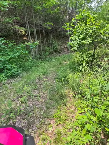 88 Acres Bolden Branch Andrews NC 28901