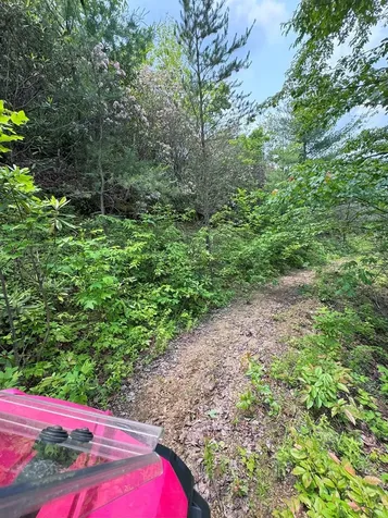 88 Acres Bolden Branch Andrews NC 28901