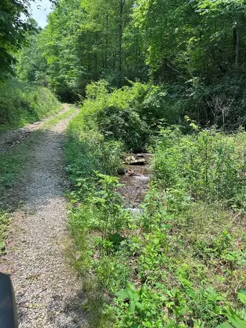 88 Acres Bolden Branch Andrews NC 28901