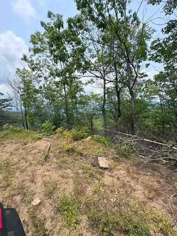 88 Acres Bolden Branch Andrews NC 28901