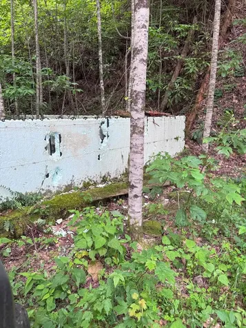 88 Acres Bolden Branch Andrews NC 28901