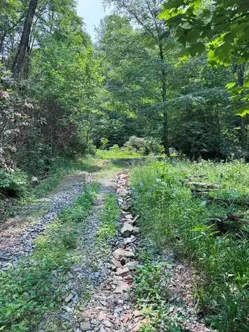 88 Acres Bolden Branch Andrews NC 28901