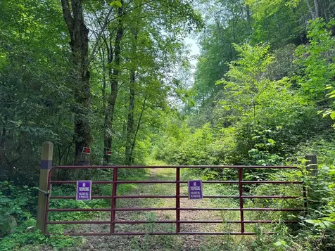 88 Acres Bolden Branch Andrews NC 28901
