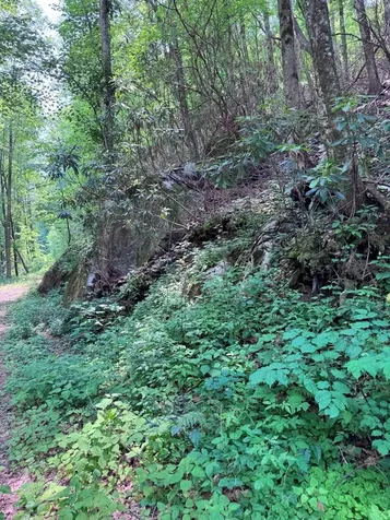 88 Acres Bolden Branch Andrews NC 28901