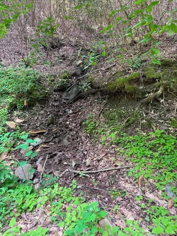 88 Acres Bolden Branch Andrews NC 28901