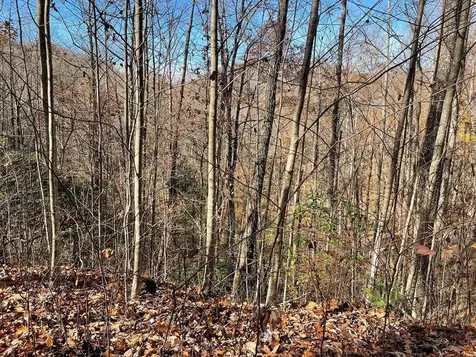 Lot 49j Indian Trail Hayesville NC 28904