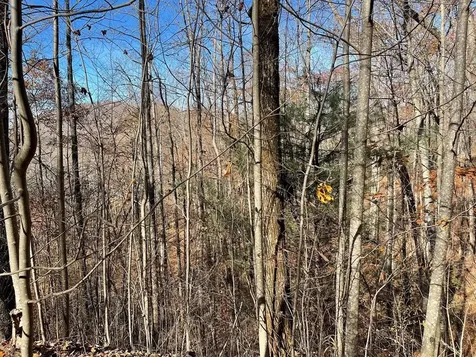 Lot 49j Indian Trail Hayesville NC 28904