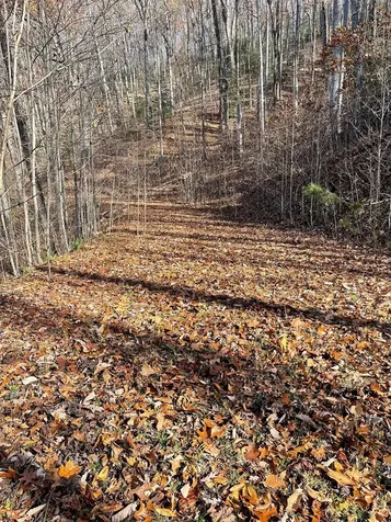 Lot 49j Indian Trail Hayesville NC 28904