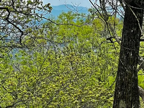 TR1-22 Majestic Mountain Trail Murphy NC 28906