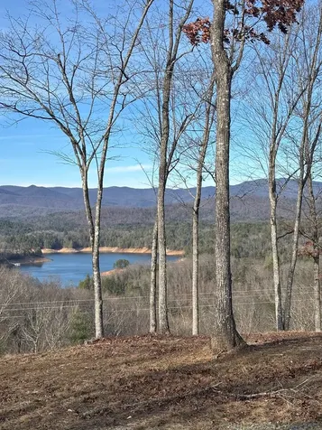 Lot 1 Thundering Hill Murphy NC 28906