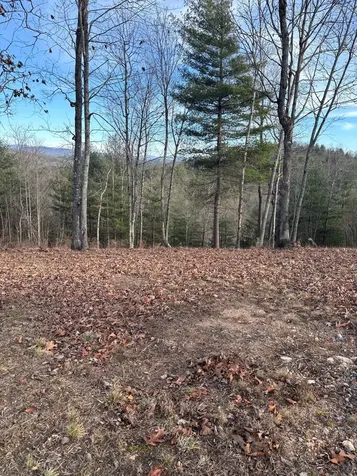 Lot 1 Thundering Hill Murphy NC 28906