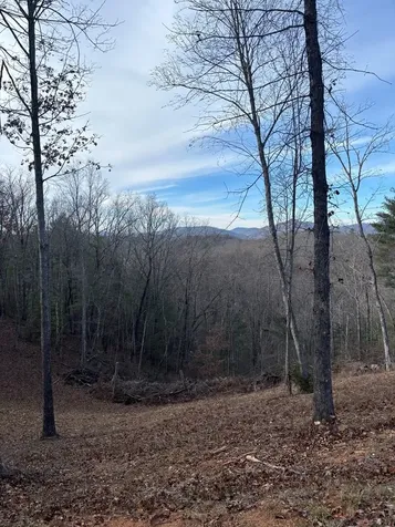 Lot 1 Thundering Hill Murphy NC 28906
