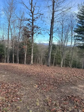 Lot 1 Thundering Hill Murphy NC 28906