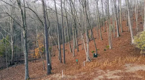 Lot 127 Serene Pond Trail Murphy NC 28906