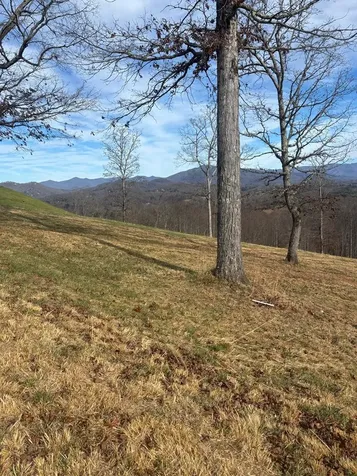 Lot 24 Jack Hayesville NC 28904