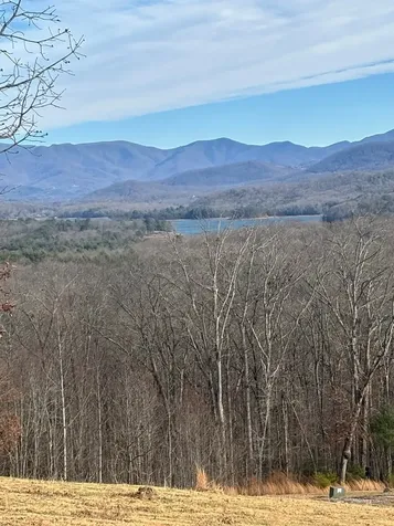 Lot 24 Jack Hayesville NC 28904