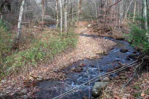 11509 Hwy 64 E Hayesville NC 28904
