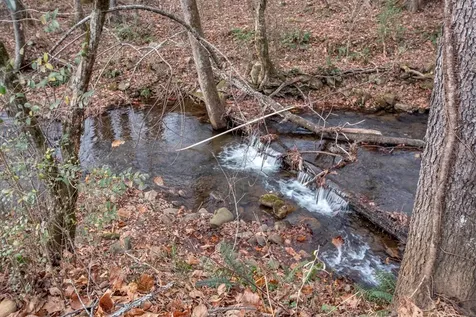 11509 Hwy 64 E Hayesville NC 28904