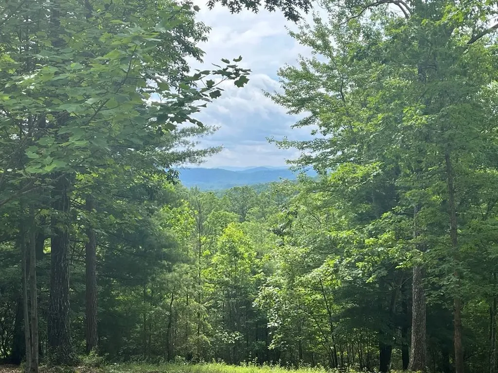 Lot 49 Burger Road Murphy NC 28906