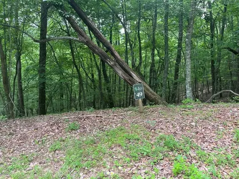 Lot 49 Burger Road Murphy NC 28906