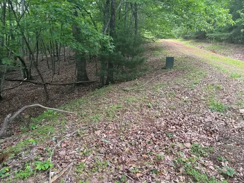 Lot 49 Burger Road Murphy NC 28906