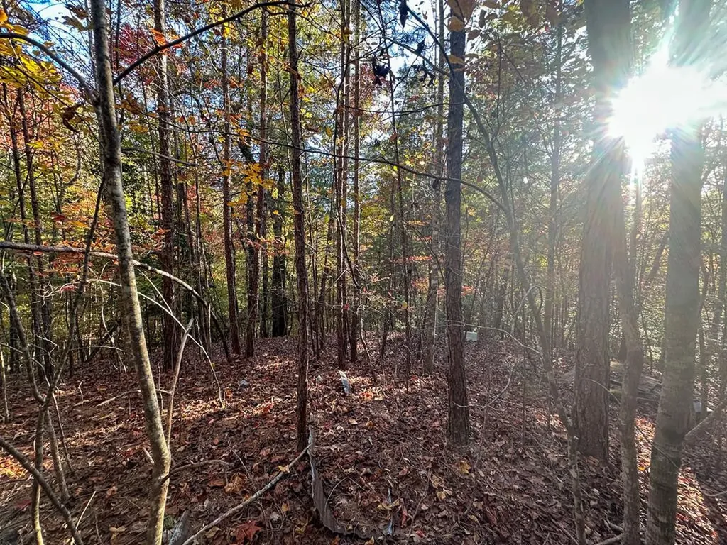 0 Dones Drive Murphy NC 28906