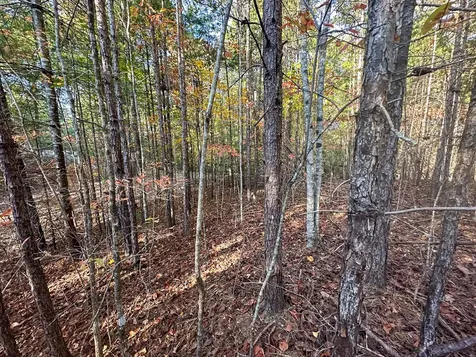0 Dones Drive Murphy NC 28906
