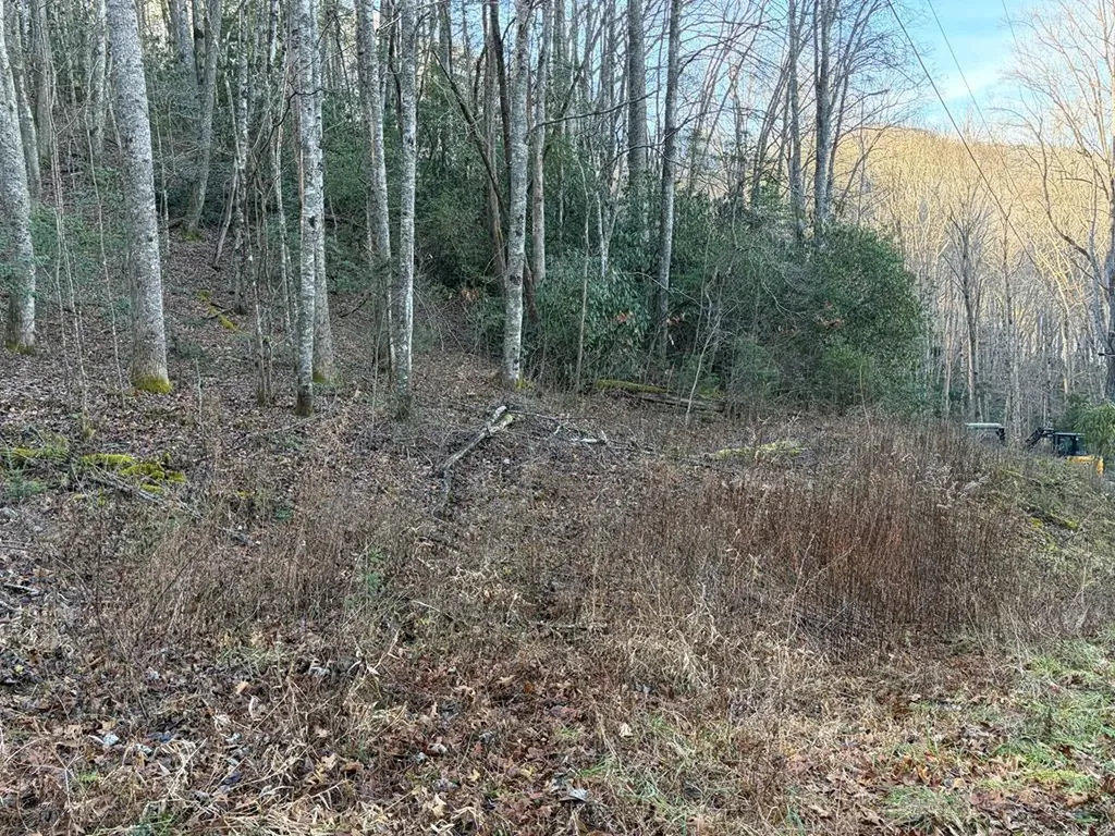 00 Choga Trail Topton NC 28781