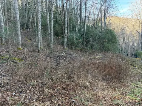 00 Choga Trail Topton NC 28781