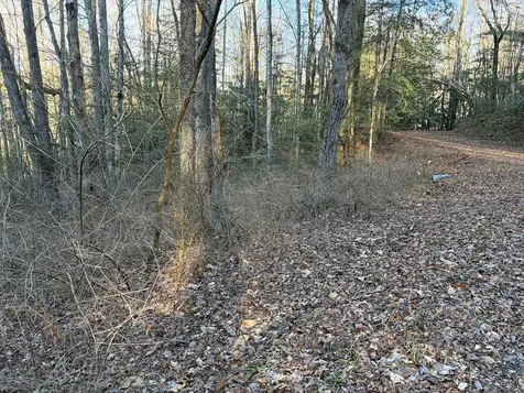 00 Choga Trail Topton NC 28781