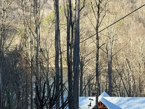 00 Choga Trail Topton NC 28781