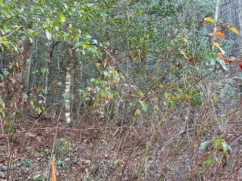 00 Choga Trail Topton NC 28781