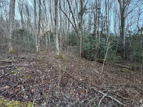 00 Choga Trail Topton NC 28781