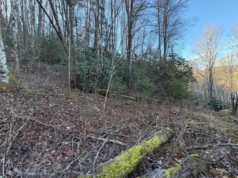 00 Choga Trail Topton NC 28781