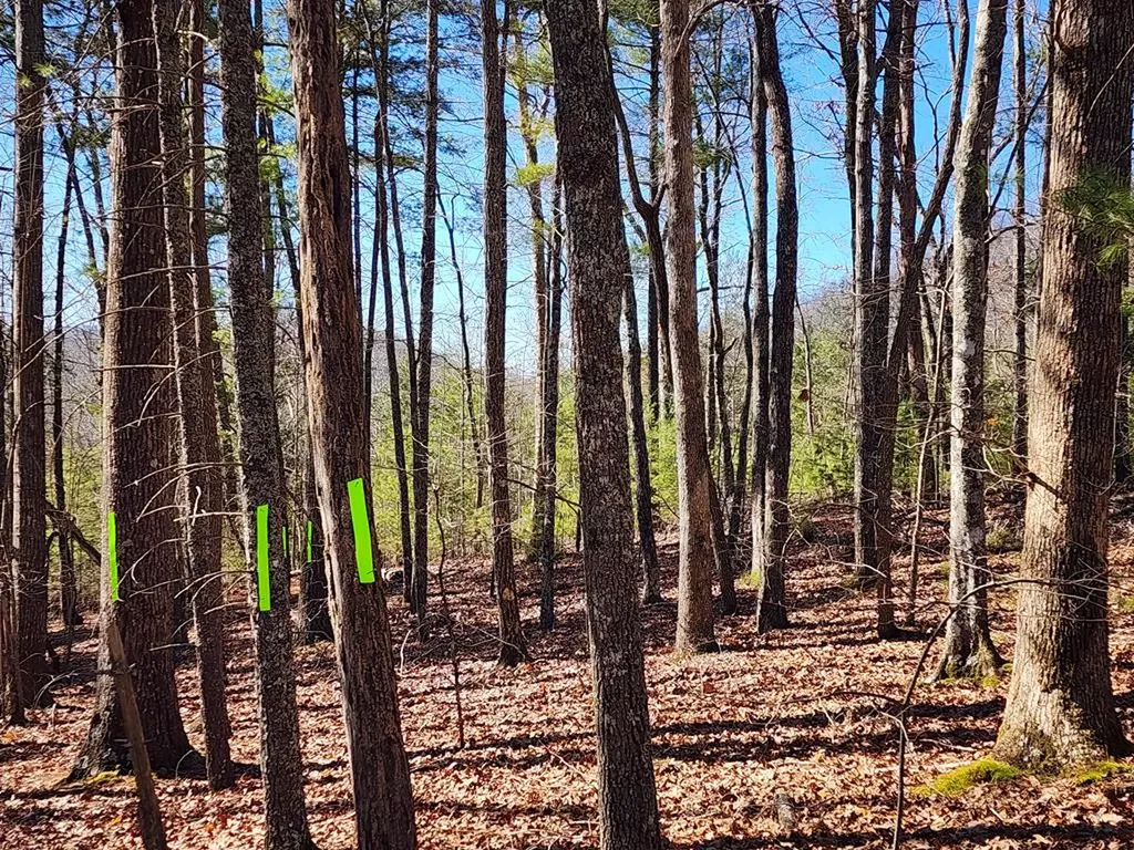 LOT17 Gray Grouse Trail Murphy NC 28906
