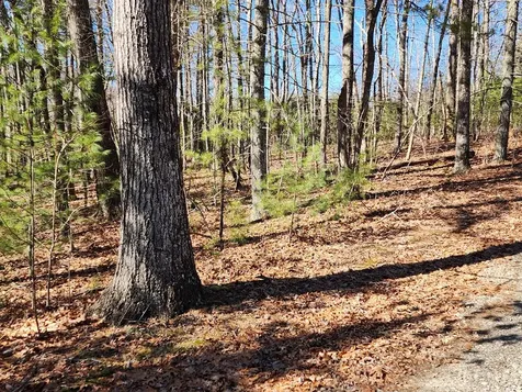 LOT17 Gray Grouse Trail Murphy NC 28906