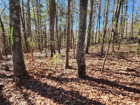 LOT17 Gray Grouse Trail Murphy NC 28906