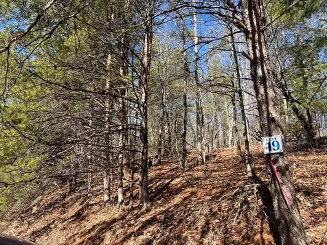 Lot 19 Mission Ridge Hayesville NC 28904