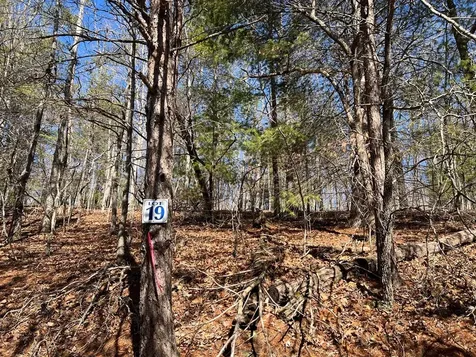 Lot 19 Mission Ridge Hayesville NC 28904