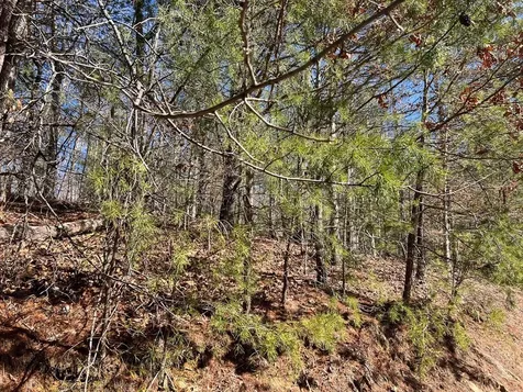 Lot 19 Mission Ridge Hayesville NC 28904