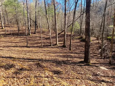 Lot 205 Windy Mountain Peak Lane Murphy NC 28906