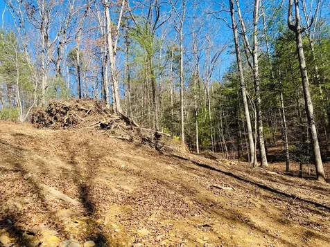 Lot 205 Windy Mountain Peak Lane Murphy NC 28906