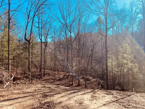 Lot 205 Windy Mountain Peak Lane Murphy NC 28906
