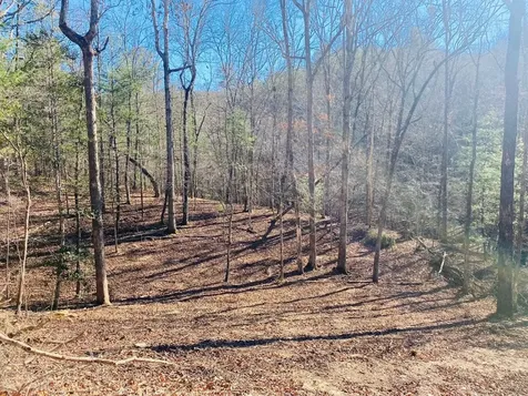 Lot 205 Windy Mountain Peak Lane Murphy NC 28906
